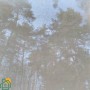 Рулонні штори screen-502