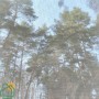 Рулонні штори screen-601