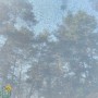 Рулонні штори screen-903