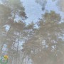 Рулонні штори screen-402